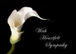 CWith Heartfelt Sympathy - Click To Enlarge